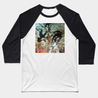 Spotted Spiny Lobster Baseball T-Shirt